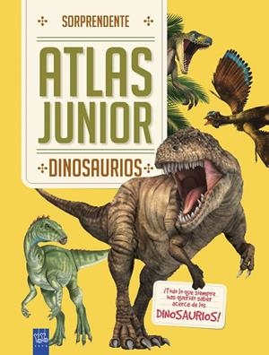 DINOSAURIOS | 9788408184683 | YOYO | Llibreria Ombra | Llibreria online de Rubí, Barcelona | Comprar llibres en català i castellà online