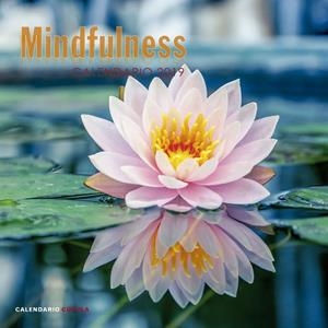 CALENDARIO MINDFULNESS 2019 | 9788448024598 | AA. VV. | Llibreria Ombra | Llibreria online de Rubí, Barcelona | Comprar llibres en català i castellà online