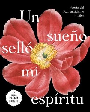UN SUEÑO SELLÓ MI ESPÍRITU | 9788439735328 | VARIOS AUTORES, | Llibreria Ombra | Llibreria online de Rubí, Barcelona | Comprar llibres en català i castellà online