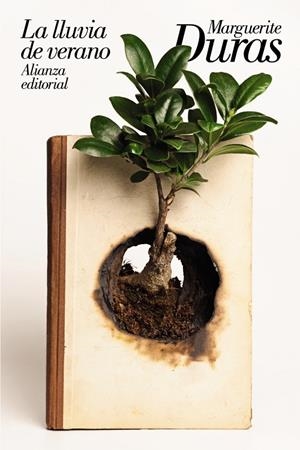 LA LLUVIA DE VERANO | 9788491814962 | DURAS, MARGUERITE | Llibreria Ombra | Llibreria online de Rubí, Barcelona | Comprar llibres en català i castellà online