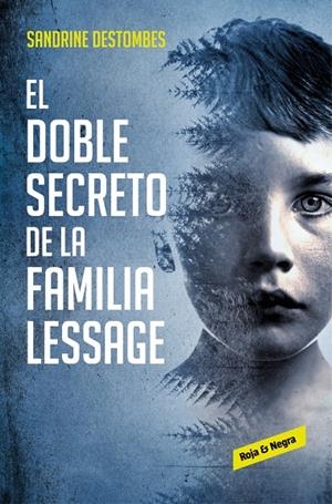 EL DOBLE SECRETO DE LA FAMILIA LESSAGE | 9788417511494 | DESTOMBES, SANDRINE | Llibreria Ombra | Llibreria online de Rubí, Barcelona | Comprar llibres en català i castellà online