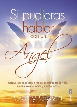 SI PUDIERAS HABLAR CON UN ÁNGEL | 9788441436510 | GAVIN, GERRY | Llibreria Ombra | Llibreria online de Rubí, Barcelona | Comprar llibres en català i castellà online