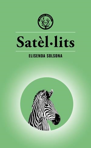 SATÈL·LITS | 9788494917073 | SOLSONA MARGARIT, ELISENDA | Llibreria Ombra | Llibreria online de Rubí, Barcelona | Comprar llibres en català i castellà online