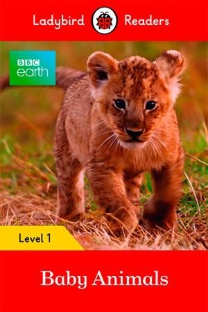 BBC EARTH: BABY ANIMALS (LB) | 9780241297452 | TEAM LADYBIRD READERS | Llibreria Ombra | Llibreria online de Rubí, Barcelona | Comprar llibres en català i castellà online