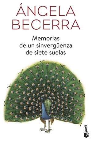 MEMORIAS DE UN SINVERGÜENZA DE SIETE SUELAS | 9788408184034 | BECERRA, ÁNGELA | Llibreria Ombra | Llibreria online de Rubí, Barcelona | Comprar llibres en català i castellà online