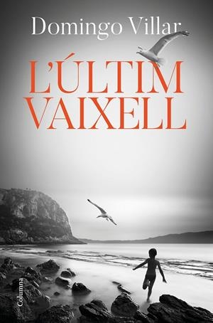 L'ÚLTIM VAIXELL | 9788466425490 | VILLAR, DOMINGO | Llibreria Ombra | Llibreria online de Rubí, Barcelona | Comprar llibres en català i castellà online