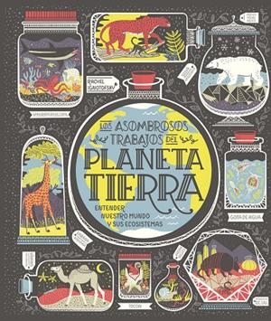 PLANETA TIERRA | 9788417651794 | IGNOTOFSKY, RACHEL | Llibreria Ombra | Llibreria online de Rubí, Barcelona | Comprar llibres en català i castellà online