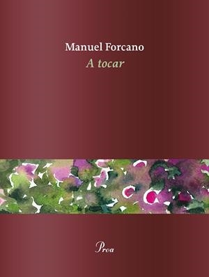 A TOCAR | 9788475888101 | FORCANO, MANUEL | Llibreria Ombra | Llibreria online de Rubí, Barcelona | Comprar llibres en català i castellà online