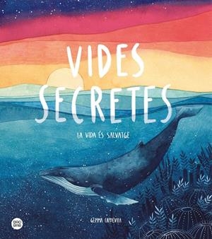 VIDES SECRETES | 9788491379638 | CAPDEVILA, GEMMA | Llibreria Ombra | Llibreria online de Rubí, Barcelona | Comprar llibres en català i castellà online