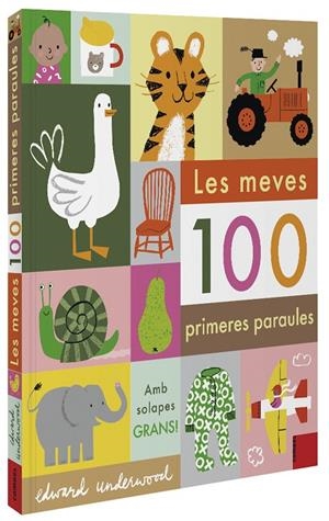 LES MEVES 100 PRIMERES PARAULES | 9788491015932 | UNDERWOOD, EDWARD | Llibreria Ombra | Llibreria online de Rubí, Barcelona | Comprar llibres en català i castellà online