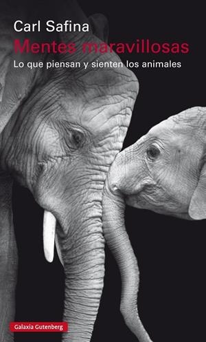 MENTES MARAVILLOSAS | 9788481095746 | SAFINA, CARL | Llibreria Ombra | Llibreria online de Rubí, Barcelona | Comprar llibres en català i castellà online