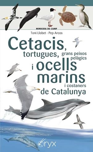 CETACIS, TORTUGUES, GRANS PEIXOS PELÀGICS I OCELLS MARINS DE CATALUNYA | 9788490349441 | LLOBET FRANÇOIS , TONI/ARCOS XX, PEP | Llibreria Ombra | Llibreria online de Rubí, Barcelona | Comprar llibres en català i castellà online