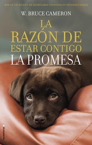 LA RAZÓN DE ESTAR CONTIGO. LA PROMESA | 9788417167103 | CAMERON, W. BRUCE | Llibreria Ombra | Llibreria online de Rubí, Barcelona | Comprar llibres en català i castellà online