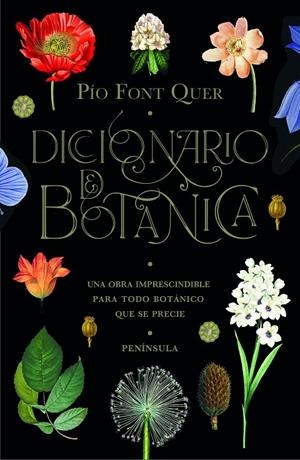 DICCIONARIO DE BOTÁNICA | 9788499429076 | FONT QUER, PÍO | Llibreria Ombra | Llibreria online de Rubí, Barcelona | Comprar llibres en català i castellà online