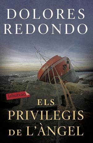 ELS PRIVILEGIS DE L'ÀNGEL | 9788417423971 | REDONDO, DOLORES | Llibreria Ombra | Llibreria online de Rubí, Barcelona | Comprar llibres en català i castellà online