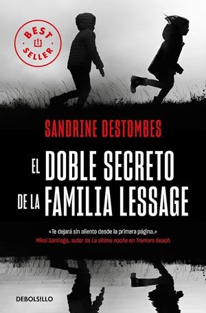 EL DOBLE SECRETO DE LA FAMILIA LESSAGE | 9788466354486 | DESTOMBES, SANDRINE | Llibreria Ombra | Llibreria online de Rubí, Barcelona | Comprar llibres en català i castellà online