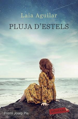 PLUJA D'ESTELS | 9788417423629 | AGUILAR SARIOL, LAIA | Llibreria Ombra | Llibreria online de Rubí, Barcelona | Comprar llibres en català i castellà online