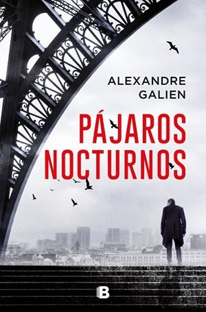 PÁJAROS NOCTURNOS | 9788466669443 | GALIEN, ALEXANDRE | Llibreria Ombra | Llibreria online de Rubí, Barcelona | Comprar llibres en català i castellà online