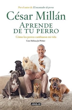 APRENDE DE TU PERRO | 9788403518445 | MILLÁN, CÉSAR | Llibreria Ombra | Llibreria online de Rubí, Barcelona | Comprar llibres en català i castellà online