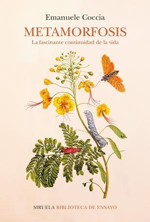METAMORFOSIS | 9788418859052 | COCCIA, EMANUELE | Llibreria Ombra | Llibreria online de Rubí, Barcelona | Comprar llibres en català i castellà online