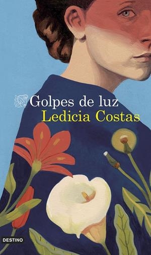 GOLPES DE LUZ | 9788423360406 | COSTAS, LEDICIA | Llibreria Ombra | Llibreria online de Rubí, Barcelona | Comprar llibres en català i castellà online