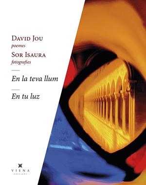 EN LA TEVA LLUM - EN TU LUZ | 9788418908262 | JOU MIRABENT, DAVID | Llibreria Ombra | Llibreria online de Rubí, Barcelona | Comprar llibres en català i castellà online
