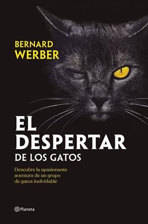 EL DESPERTAR DE LOS GATOS | 9788408251835 | WERBER, BERNARD | Llibreria Ombra | Llibreria online de Rubí, Barcelona | Comprar llibres en català i castellà online