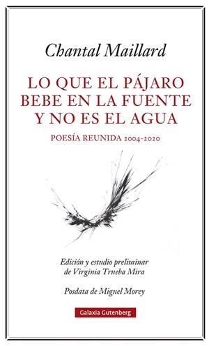 LO QUE EL PÁJARO BEBE EN LA FUENTE Y NO ES EL AGUA | 9788418807633 | MAILLARD, CHANTAL | Llibreria Ombra | Llibreria online de Rubí, Barcelona | Comprar llibres en català i castellà online