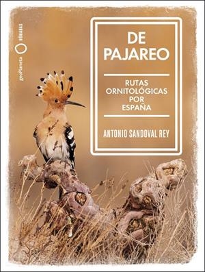 DE PAJAREO | 9788408251514 | SANDOVAL, ANTONIO | Llibreria Ombra | Llibreria online de Rubí, Barcelona | Comprar llibres en català i castellà online
