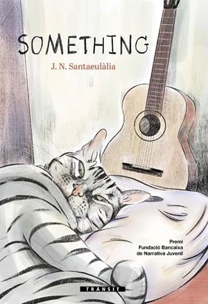 SOMETHING | 9788413582740 | SANTAEULÀLIA, J. N. | Llibreria Ombra | Llibreria online de Rubí, Barcelona | Comprar llibres en català i castellà online