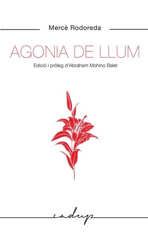 AGONIA DE LLUM | 9788412455748 | RODOREDA GURGUI, MERCÈ | Llibreria Ombra | Llibreria online de Rubí, Barcelona | Comprar llibres en català i castellà online