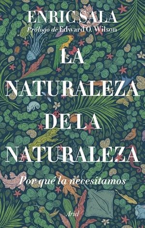 LA NATURALEZA DE LA NATURALEZA | 9788434435261 | SALA, ENRIC | Llibreria Ombra | Llibreria online de Rubí, Barcelona | Comprar llibres en català i castellà online