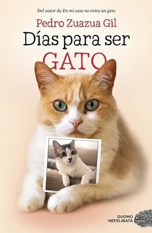 DÍAS PARA SER GATO | 9788417128524 | ZUAZUA GIL, PEDRO | Llibreria Ombra | Llibreria online de Rubí, Barcelona | Comprar llibres en català i castellà online