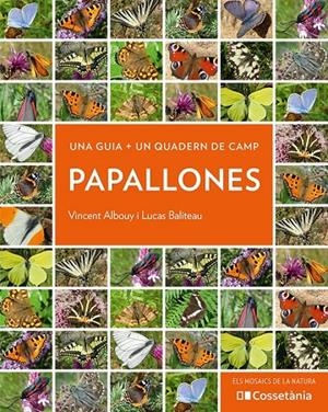 PAPALLONES | 9788413560540 | ALBOUY, VINCENT/BALITEAU, LUCAS | Llibreria Ombra | Llibreria online de Rubí, Barcelona | Comprar llibres en català i castellà online