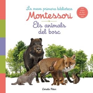 ELS ANIMALS DEL BOSC. LA MEVA PRIMERA BIBLIOTECA MONTESSORI | 9788413890159 | AA. VV. | Llibreria Ombra | Llibreria online de Rubí, Barcelona | Comprar llibres en català i castellà online