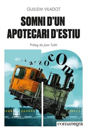 SOMNI D'UN APOTECARI D'ESTIU | 9788418857645 | VILADOT, GUILLEM | Llibreria Ombra | Llibreria online de Rubí, Barcelona | Comprar llibres en català i castellà online