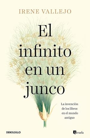 EL INFINITO EN UN JUNCO | 9788466358293 | VALLEJO, IRENE | Llibreria Ombra | Llibreria online de Rubí, Barcelona | Comprar llibres en català i castellà online