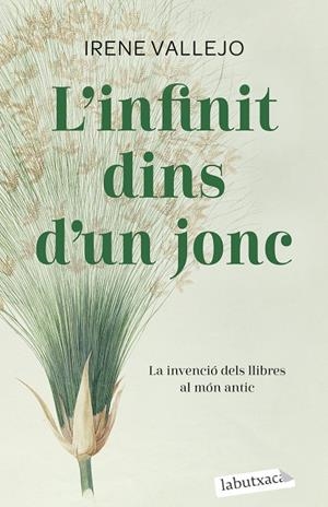 L'INFINIT DINS D'UN JONC | 9788419107121 | VALLEJO, IRENE | Llibreria Ombra | Llibreria online de Rubí, Barcelona | Comprar llibres en català i castellà online