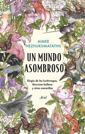 UN MUNDO ASOMBROSO | 9788434435582 | NEZHUKUMATATHIL, AIMEE | Llibreria Ombra | Llibreria online de Rubí, Barcelona | Comprar llibres en català i castellà online