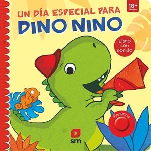DN. UN DÍA ESPECIAL PARA DINO NINO | 9788413922669 | TERWEH, CHRISTIAN | Llibreria Ombra | Llibreria online de Rubí, Barcelona | Comprar llibres en català i castellà online