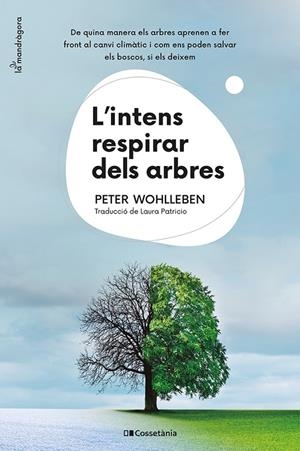 L'INTENS RESPIRAR DELS ARBRES | 9788413562087 | WOHLLEBEN, PETER | Llibreria Ombra | Llibreria online de Rubí, Barcelona | Comprar llibres en català i castellà online