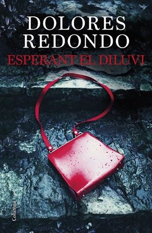ESPERANT EL DILUVI | 9788466429849 | REDONDO MEIRA, DOLORES | Llibreria Ombra | Llibreria online de Rubí, Barcelona | Comprar llibres en català i castellà online
