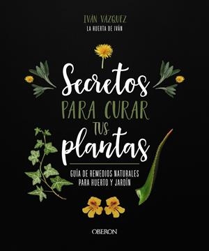 SECRETOS PARA CURAR TUS PLANTAS | 9788441547162 | VÁZQUEZ MUÑOZ, IVÁN | Llibreria Ombra | Llibreria online de Rubí, Barcelona | Comprar llibres en català i castellà online
