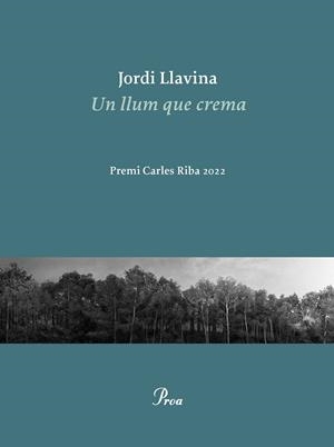 UN LLUM QUE CREMA | 9788475889979 | LLAVINA, JORDI | Llibreria Ombra | Llibreria online de Rubí, Barcelona | Comprar llibres en català i castellà online