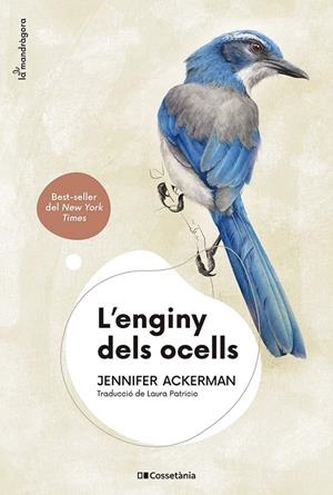 L'ENGINY DELS OCELLS | 9788413562544 | ACKERMAN, JENNIFER | Llibreria Ombra | Llibreria online de Rubí, Barcelona | Comprar llibres en català i castellà online