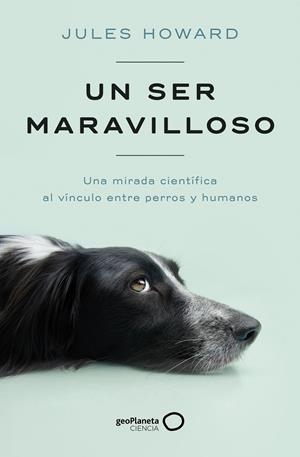 UN SER MARAVILLOSO | 9788408269328 | HOWARD, JULES | Llibreria Ombra | Llibreria online de Rubí, Barcelona | Comprar llibres en català i castellà online