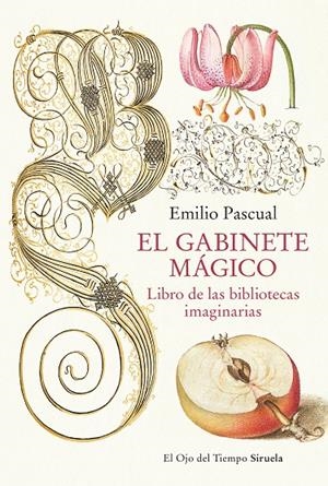 EL GABINETE MÁGICO | 9788419553041 | PASCUAL, EMILIO | Llibreria Ombra | Llibreria online de Rubí, Barcelona | Comprar llibres en català i castellà online