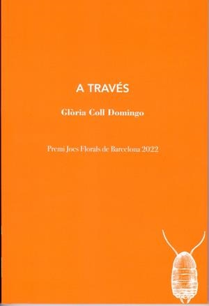 A TRAVÉS | 9788412457599 | COLL DOMINGO, GLÒRIA | Llibreria Ombra | Llibreria online de Rubí, Barcelona | Comprar llibres en català i castellà online
