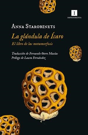 LA GLÁNDULA DE ÍCARO | 9788419581020 | STAROBINETS, ANNA | Llibreria Ombra | Llibreria online de Rubí, Barcelona | Comprar llibres en català i castellà online