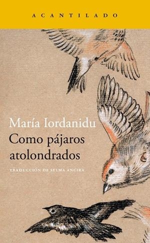 COMO PÁJAROS ATOLONDRADOS | 9788419036704 | IORDANIDU, MARIA | Llibreria Ombra | Llibreria online de Rubí, Barcelona | Comprar llibres en català i castellà online